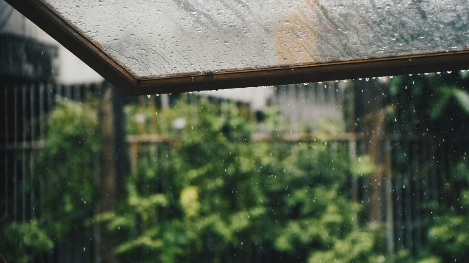 Don't Get Caught in the Rain! The Best Rain Covers for Your Bag