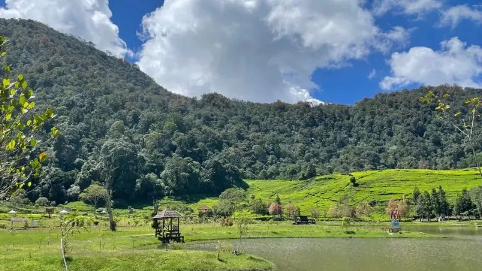Eksplorasi Kota Hujan: Daftar Destinasi Liburan Bogor Paling Hits 2026