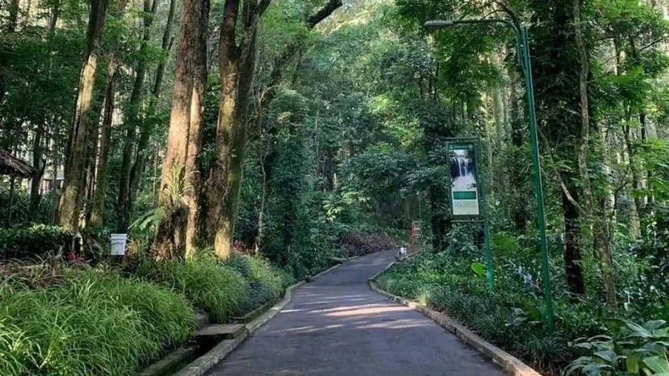 Sejuk dan Santai: 8 Rekomendasi Trekking Bandung yang Beginner-Friendly