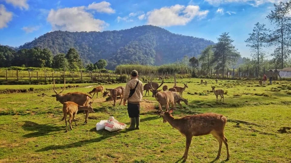 Saatnya ke Alam: 8 Rekomendasi Camping Ground Bandung Paling Hits